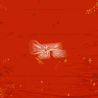 Festa Junina Arraia GIF by Supergasbras
