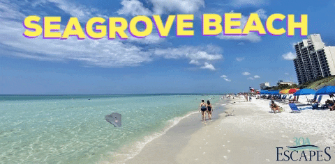 30aescapes giphygifmaker giphyattribution 30a south walton GIF
