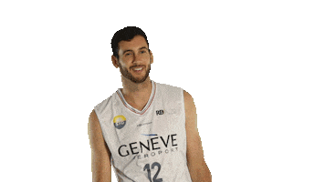 Basketball No Sticker by Lions de Genève