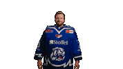 Pennydel Sticker by Straubing Tigers