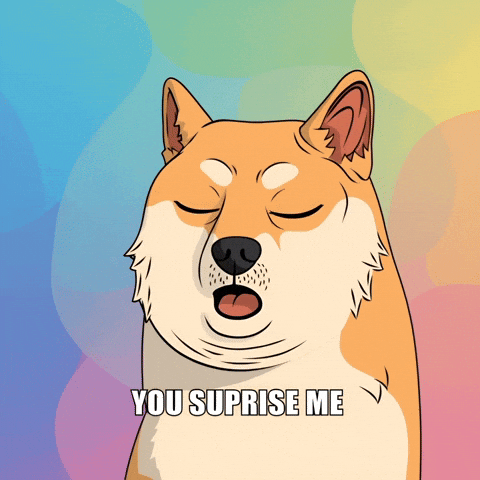 Shiba Inu Wow GIF by Doge Pound