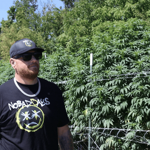 Plant Grow GIF by Exclusive Brands