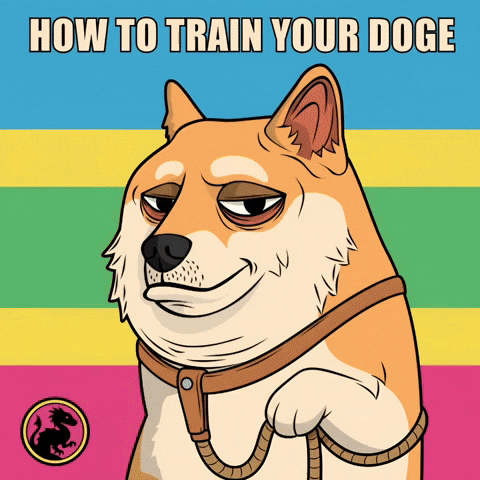 Shiba Inu Dog Training GIF by Doge Pound