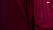 Wedding Dress Sorpresa GIF by Movistar+
