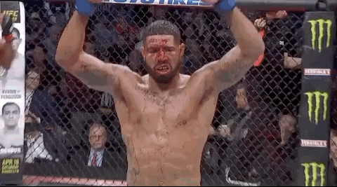 Sport Mma GIF by UFC