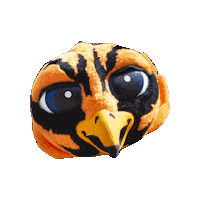 AuburnUniversityatMontgomery warhawks aum curtiss warhawknation Sticker