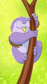 Little Owl Bear GIF