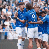 Sv Darmstadt 98 GIF