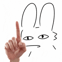No GIF