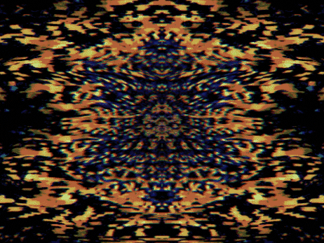 GIF by Leo Pyrata