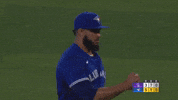 Blue Jays Win GIF by Toronto Blue Jays