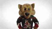 Arizona Coyotes Yes GIF by NHL