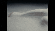 Sub Pop Clipping GIF by Sub Pop Records