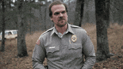 strangerthings season 1 stranger things hopper david harbour GIF