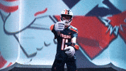 Uva Wahoowa GIF by Virginia Athletics