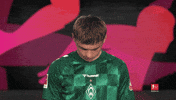 Look Up Werder Bremen GIF by Bundesliga