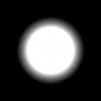 cdguaymallen mano voto mendoza afirmativo GIF