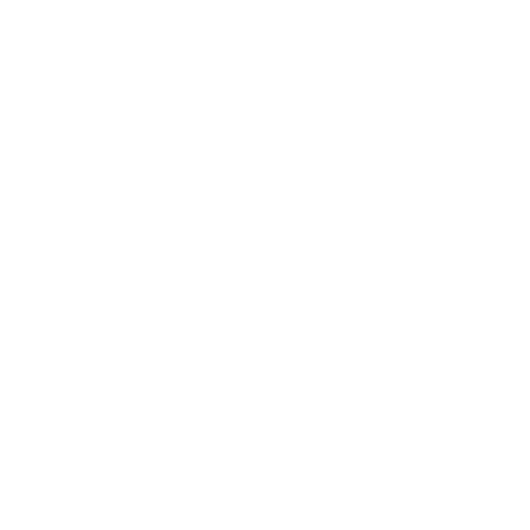 AnnamLife giphyupload women brand motivation Sticker