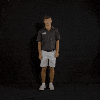 Fort Wayne Golf GIF by Purdue Fort Wayne Athletics