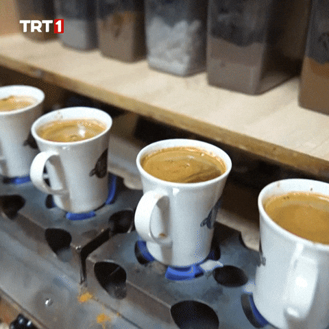 Invent Turkish Coffee GIF by TRT