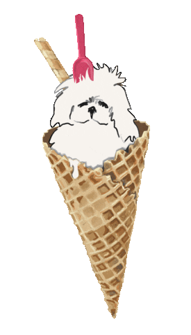 neusneve giphyupload neusneve cucurutxo Sticker