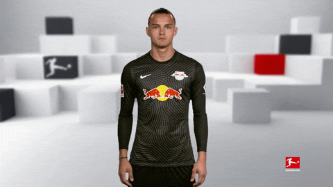 Posing Line Up GIF by Bundesliga