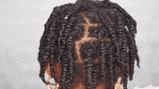 Sugaberry hair kids hair stylist hair love GIF