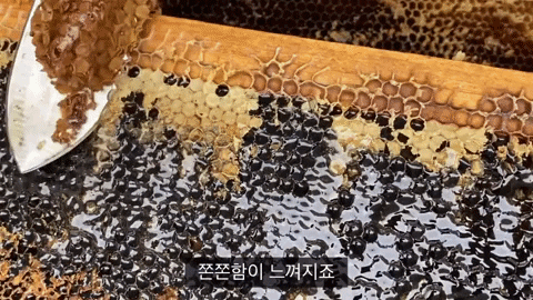 myeongseokchoi giphygifmaker GIF