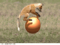 boing GIF