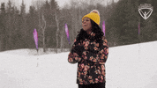 Snowboarding Winter Sports GIF by All-Round Champion