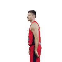 Sport Basketball Sticker by CSKA Moscow