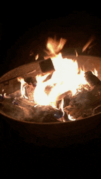 sickday GIF by Sickhouse