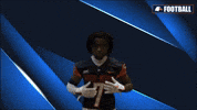 Cnfb GIF by Carson-Newman Athletics
