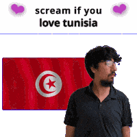 Tunisia Flag Tn Sticker