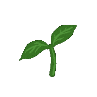 Spring Plant Sticker