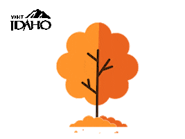 Autumn Leaves Fall Sticker by VisitIdaho