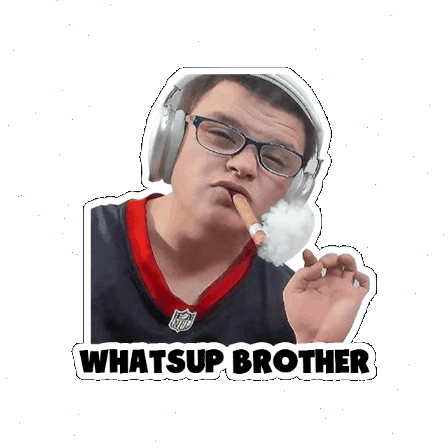 BrotherCoin giphygifmaker sketch brother whats up brother Sticker