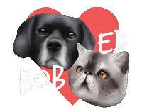 Bobanded Sticker by Native 21