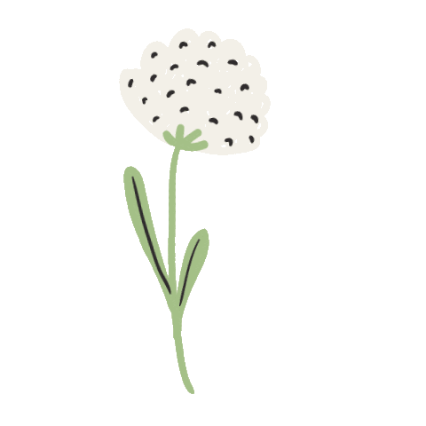 Rupertus giphyupload organic bio urlaub Sticker