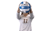 Sport College Sticker by UNCP Braves Athletics