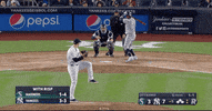 Jomboy  GIF