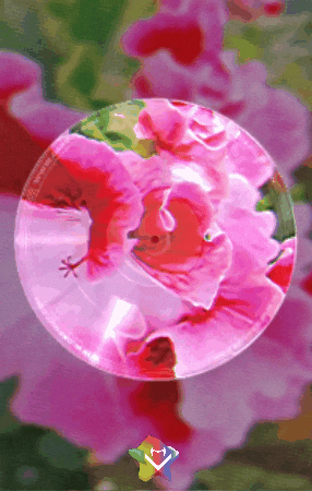 Dios Es Bueno Flores GIF by Murcianys LLC
