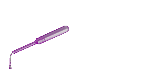 Periods Tampon Sticker by Period Nirvana