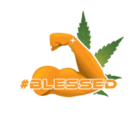 brocbd gym gold strong motivation Sticker