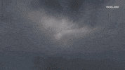 Action Bronson Yes GIF by #ActionAliens