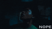 Scared Whats Up GIF by NOPE