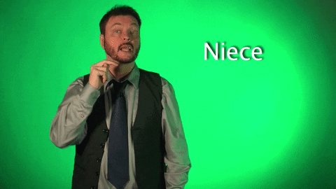sign language niece GIF by Sign with Robert