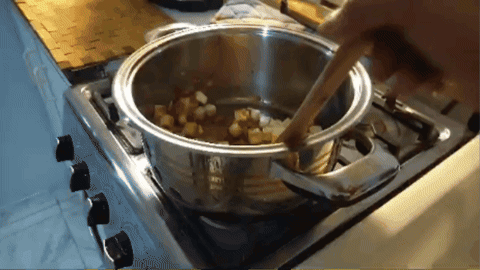 giphy.gif