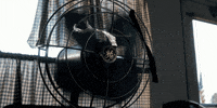 strangerthings season 1 stranger things season 1 stranger things GIF