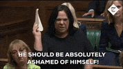 parliament mps house of commons GIF